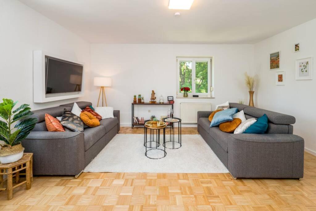 Eg Rechts -Wunderschone 80M² Grosse 3-Zimmer City Wohnung Nahe Salzburg Фрайлассінг Екстер'єр фото